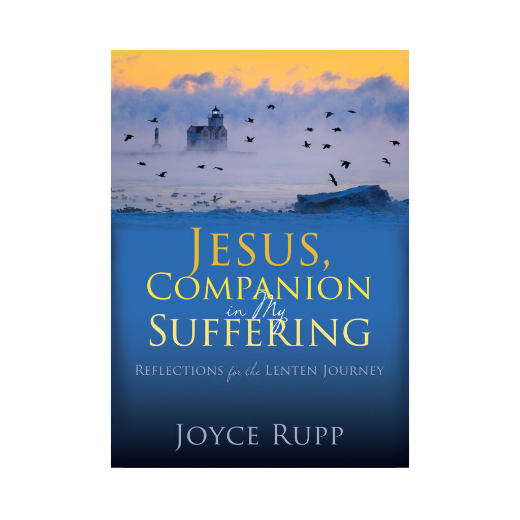 Jesus companion in my suffering servants of mary